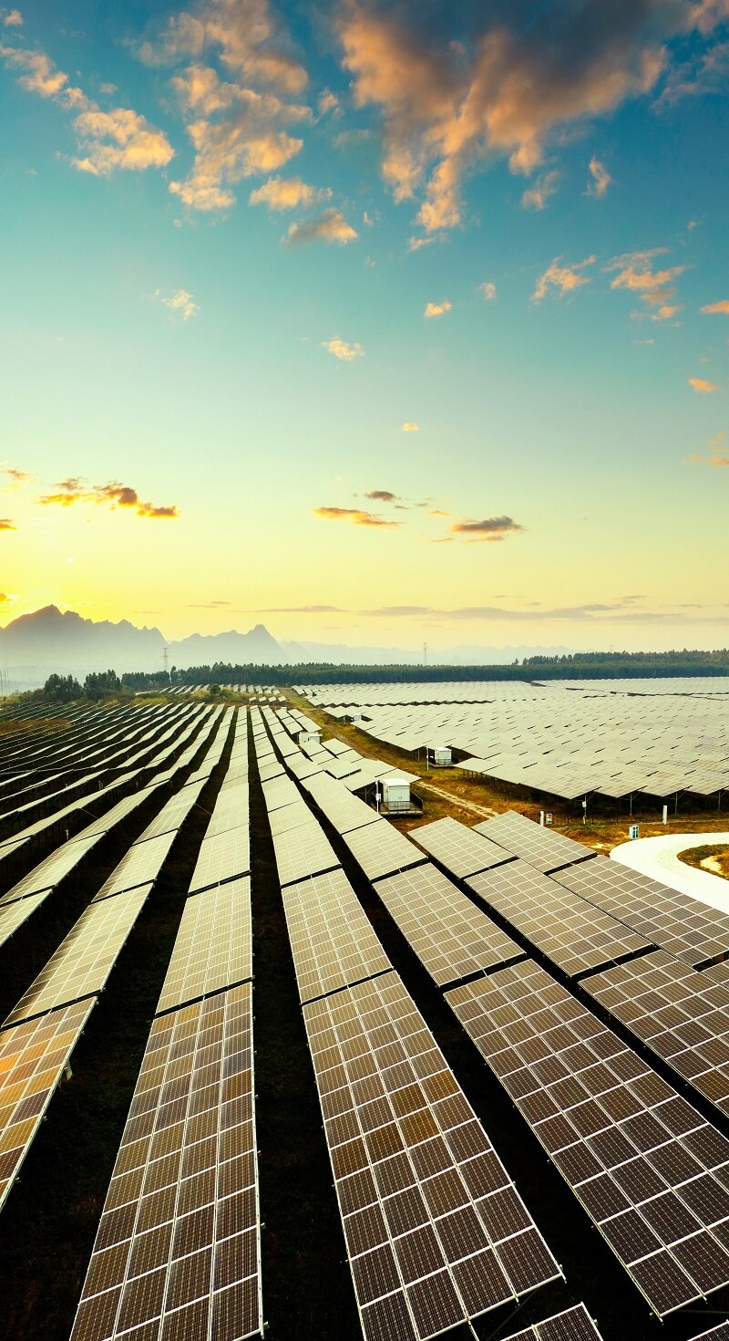 solar-panel-800x1470